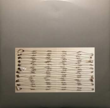 LP/CD Shellac: Dude Incredible