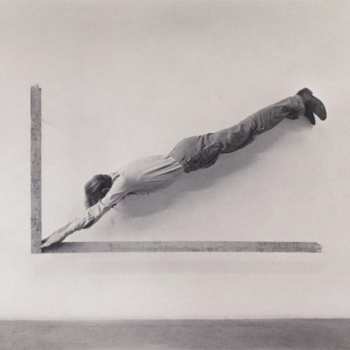 LP Shepherds: insignificant whip