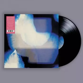 Shida Shahabi: Homes