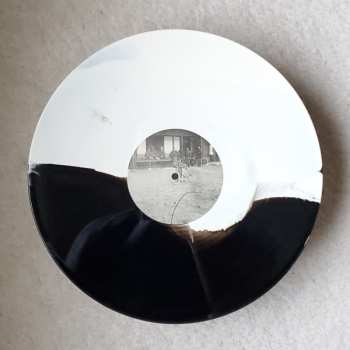 LP Shigeto: Lineage CLR | LTD