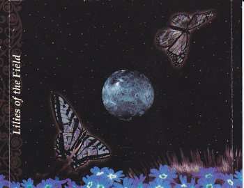 CD Shimri: Lilies Of The Field