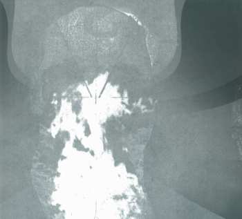 CD Shining: Grindstone