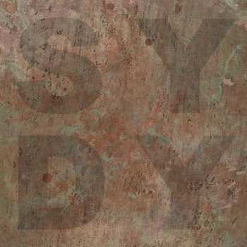 Album Shiny Darkly: Bronze