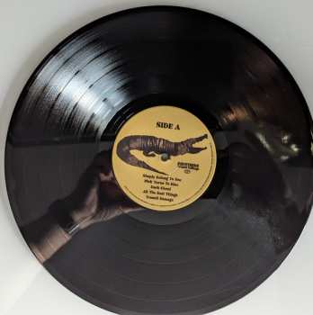 LP Shinyribs: Transit Damage