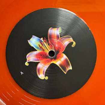 LP Shirley Hurt: Shirley Hurt CLR | LTD