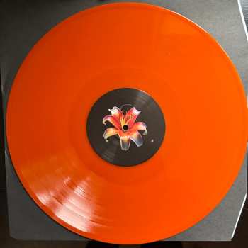 LP Shirley Hurt: Shirley Hurt CLR | LTD