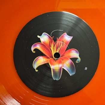 LP Shirley Hurt: Shirley Hurt CLR | LTD