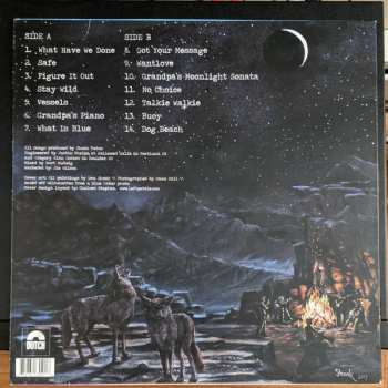 LP Shook Twins: Some Good Lives