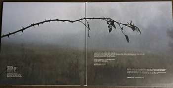 LP Shores Of Null: The Loss Of Beauty