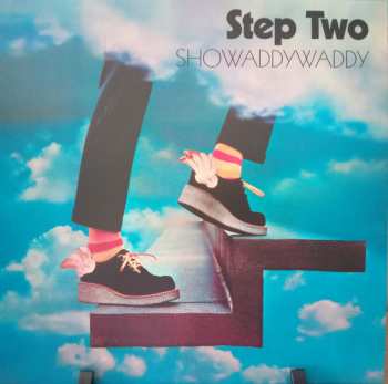 8LP/Doos Showaddywaddy: The Studio LP Collection 1974 - 1983 LTD | CLR