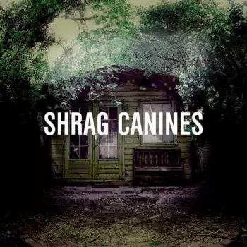 Canines
