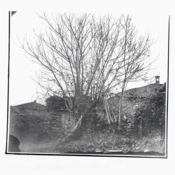 Album Siavash Amini: Caligo