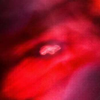 Album Saffronkeira: The Faded Orbit