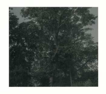 CD Stian Westerhus: Bonita