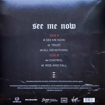 LP Sierra: See Me Now LTD