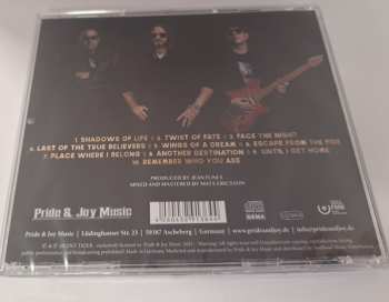 CD Silent Tiger: Twist Of Fate