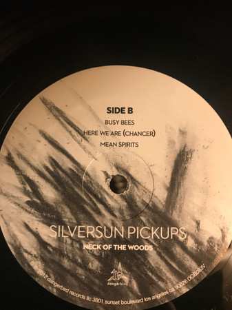 2LP Silversun Pickups: Neck Of The Woods