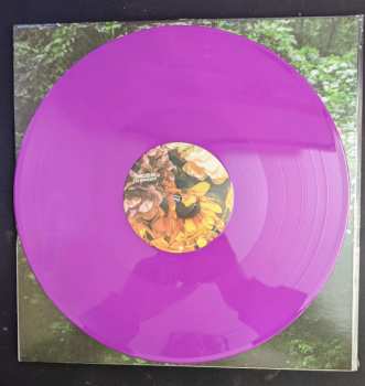 LP Sincere Engineer: Bless My Psyche CLR | LTD