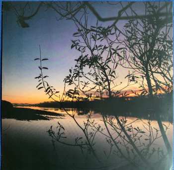 LP Six Organs Of Admittance: Companion Rises