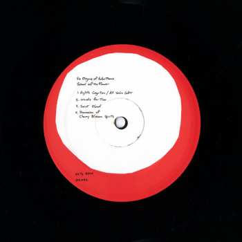 LP Six Organs Of Admittance: School Of The Flower