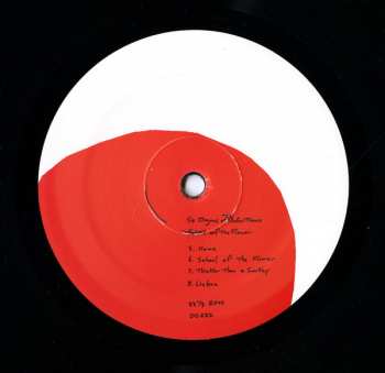 LP Six Organs Of Admittance: School Of The Flower