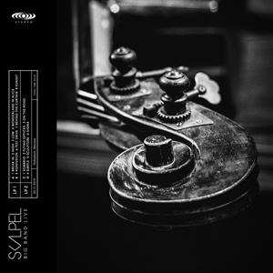 Album Skalpel: Big Band Live
