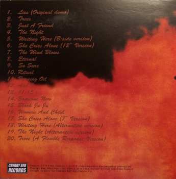 5CD/Doos Skeletal Family: Eternal (Singles · Albums · Rarities · BBC Sessions · Live · Demos 1982-2015)