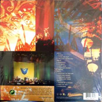 2LP Foo Fighters: Skin And Bones