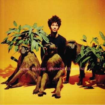 LP Skinny Pelembe: Dreaming Is Dead Now