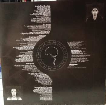 2LP Bruce Dickinson: Skunkworks