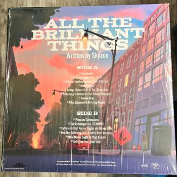 LP Skyzoo: All The Brilliant Things CLR