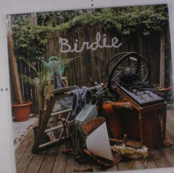 Album Slaughter Beach, Dog: Birdie