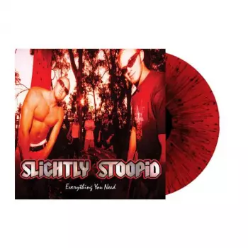 Slightly Stoopid: Everything You Need