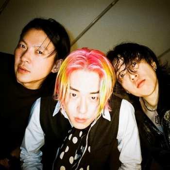 Album Snake Chicken Soup: More & More & More