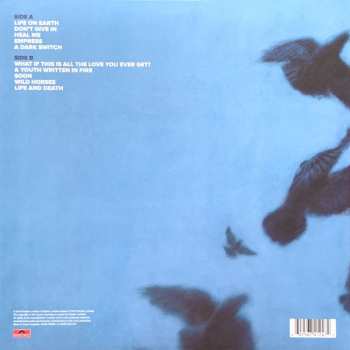 LP Snow Patrol: Wildness