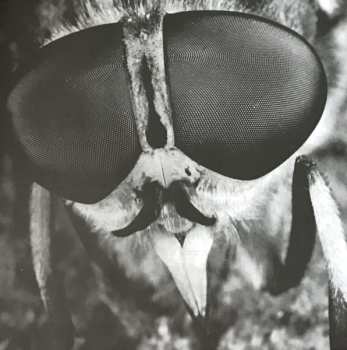 LP Snuff: Tweet Tweet My Lovely