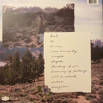 LP Soccer Mommy: Evergreen CLR | LTD