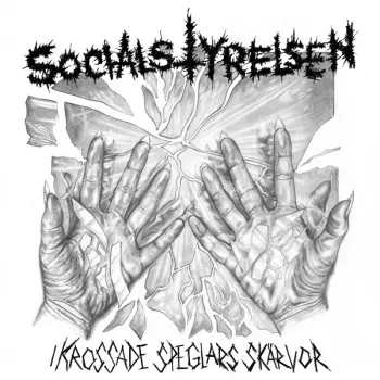 Socialstyrelsen: I Krossade Speglars Skärvor