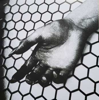 LP Soft Vein: Pressed In Glass CLR | LTD