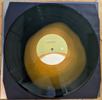 2LP Solar Fields: EarthShine CLR