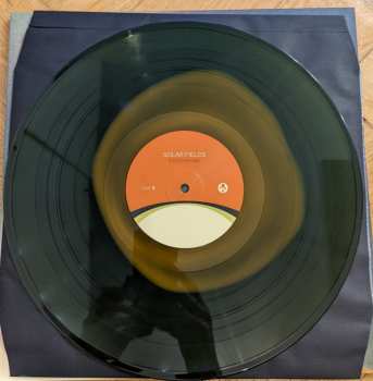 2LP Solar Fields: EarthShine CLR