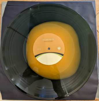 2LP Solar Fields: EarthShine CLR