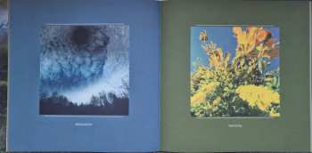 2LP Solar Fields: Formations LTD | CLR