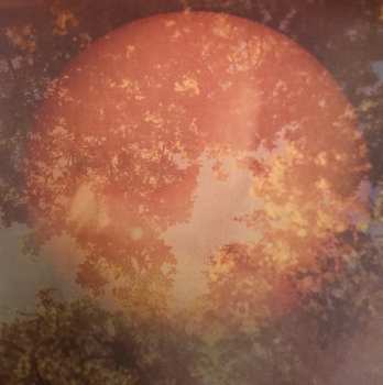 2LP Solar Fields: Origin # 01 CLR