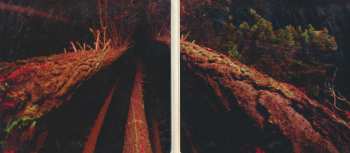 CD Solos: Beast Of Both Worlds