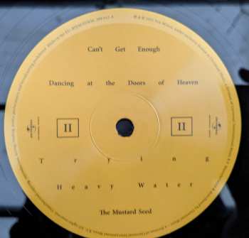 LP Son Mieux: The Mustard Seed