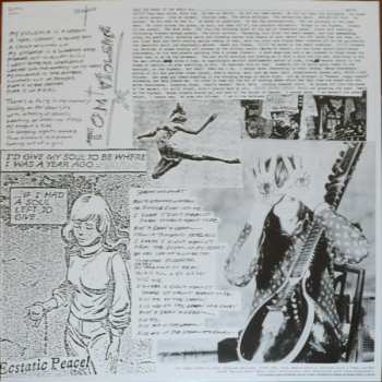 LP Sonic Youth: EVOL