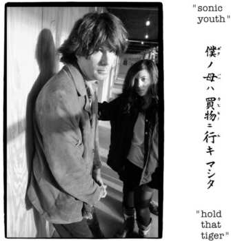 2LP Sonic Youth: Hold That Tiger