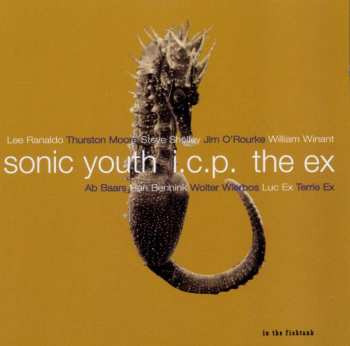 CD Sonic Youth: In The Fishtank 9