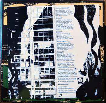 LP Sonic Youth: In/Out/In